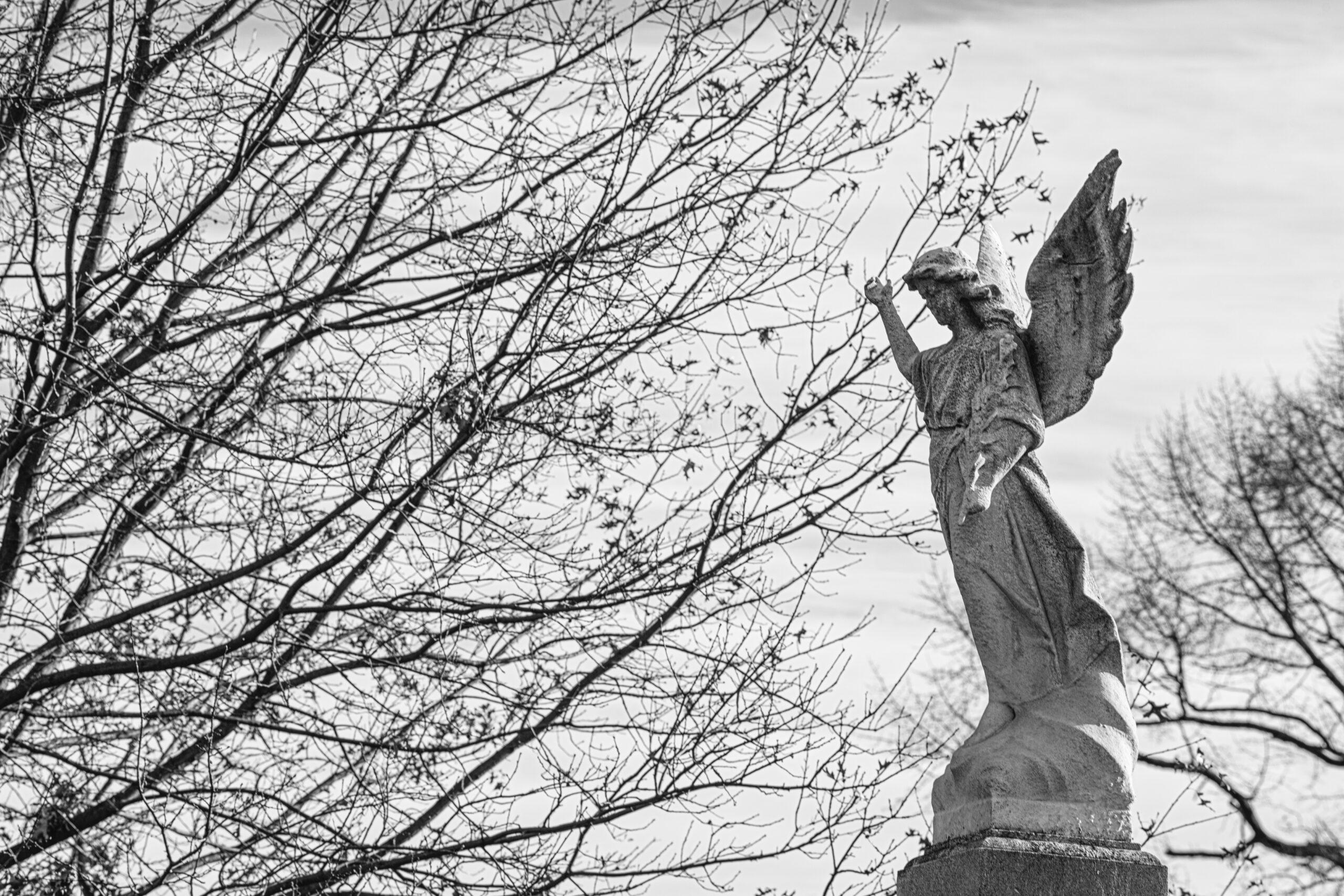 Moera Creative New York Photography - Prospect Park - Green Wood Cemetery 