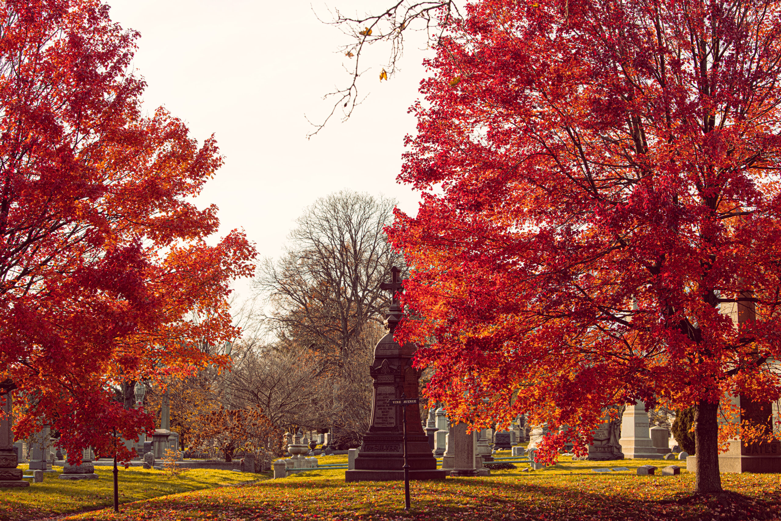 Green Wood Cemetery Brooklyn New York by Moera Creative Photography