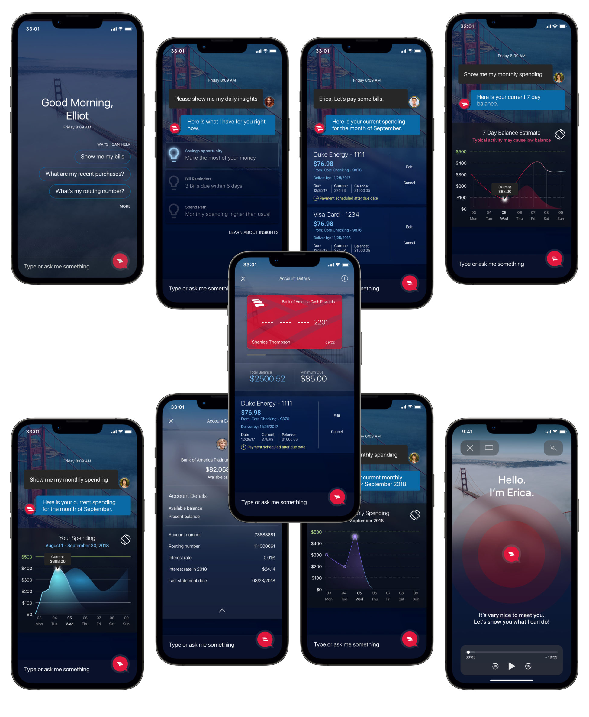 Moera New York User Experience Bank of America Erica App